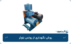 روش نگهداری از روتس بلوئر