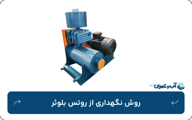 روش نگهداری از روتس بلوئر